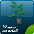 Plantes au détail