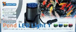 Eclairage LED  bassin